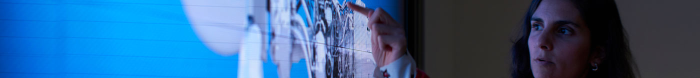 Bild zu Experte Digitale Transformation